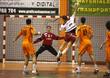 Liga Asobal: L�baro Toledo 28 - Naturhouse La Rioja 27